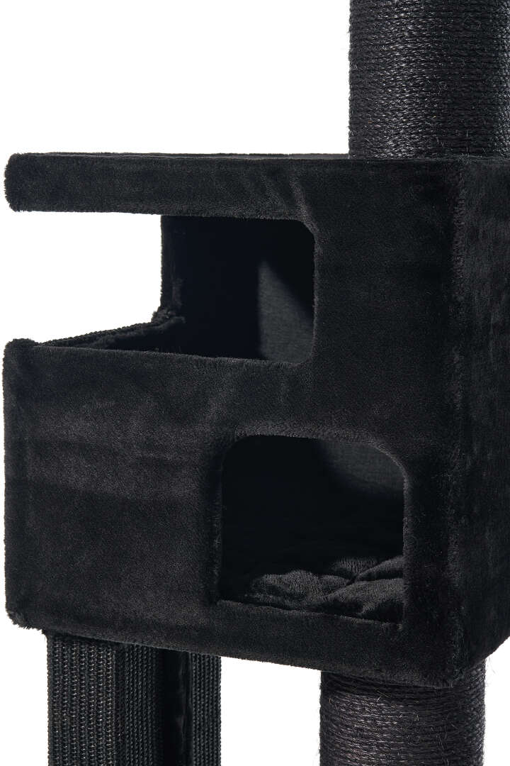 Nobby Kratzbaum Yoan